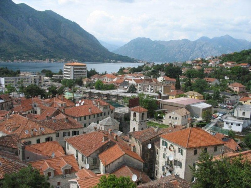 Kotor