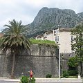 Kotor