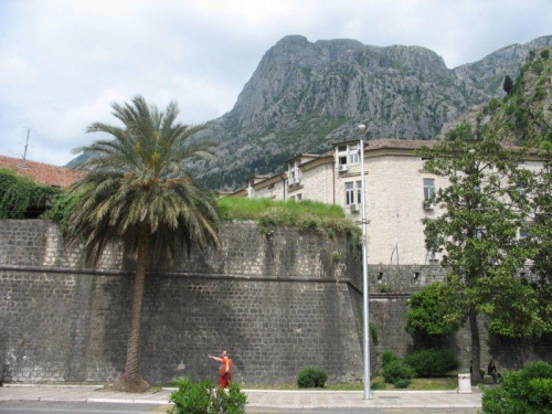 Kotor