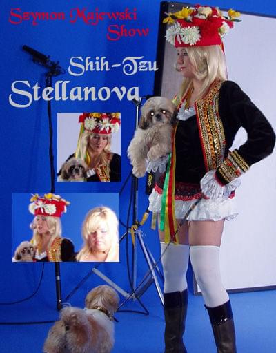 Szymon Majewski Show . Scenka Doda z psami Shih-Tzu.
