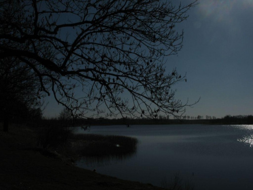 #spacer #jezioro #OkoliceOlsztyna #warmia #mazury #bartąg #bartążek #trawa #niebo #przyroda #woda #słońce
