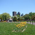 Boston wycieczka #Boston