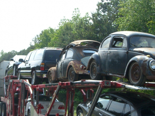 VW Bettle