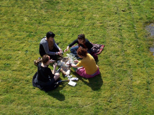 cmentarny piknik Galway