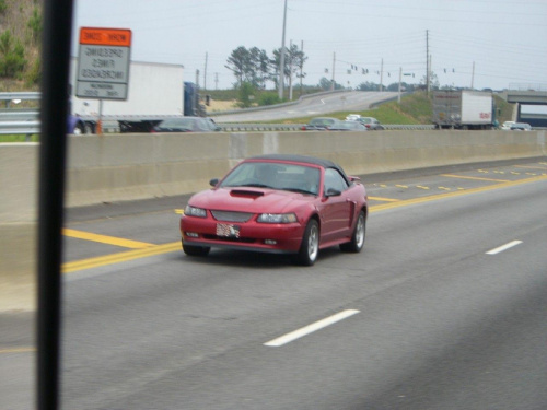 Mustang GT