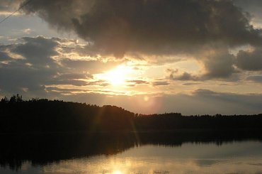#Przyroda #natura #nature #DerNatur #ZachódSłońca #sunset #DerSonnenuntergang #drzewa #tree #DerHund #jezioro #lake #DerSee