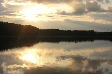 #Przyroda #natura #nature #DerNatur #ZachódSłońca #sunset #DerSonnenuntergang #drzewa #tree #DerHund #jezioro #lake #DerSee