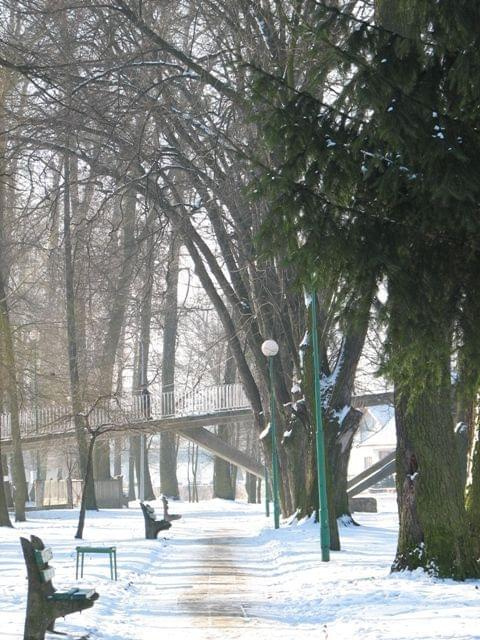 Park nad Pisą #Mazury #Pisz #Zima