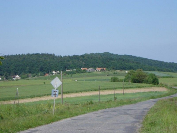 Widok z Dobroszowie na Romanów