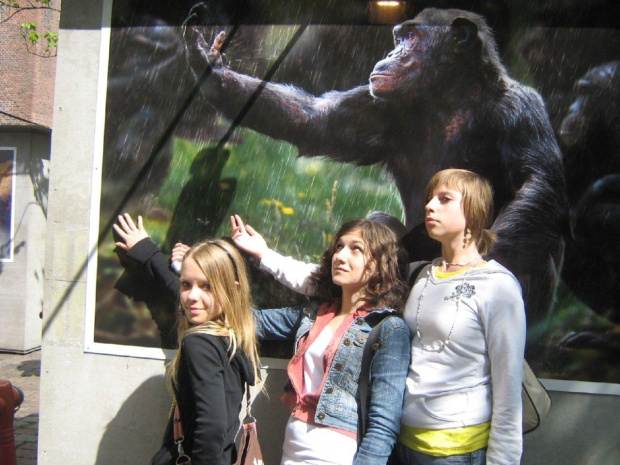 nowa teoria ewolucji ?