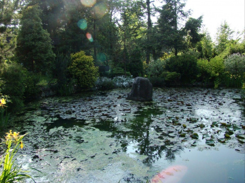 BUJAKÓW OGRÓD PARAFIALNY