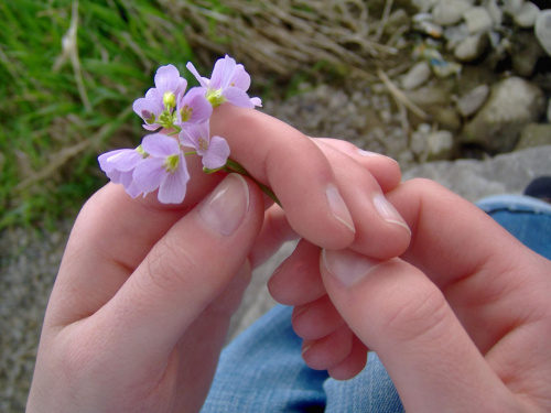 To są dłonie mojej dziewczyny :D Piękne, czyż nie? #dłonie