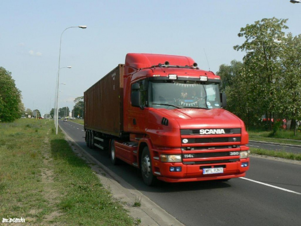 Scania red kaczor