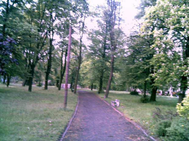 park na czyżkówku