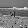 Meksyk - nieKOŃcząca się plaża #MeksykPlażaOceanKoń