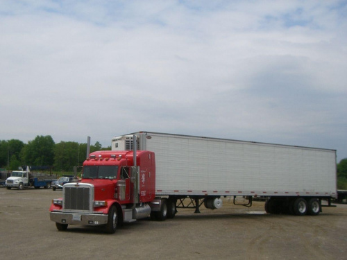 Pete 379
