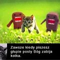 głupie posty