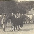 Zdjęcia udostępnione przez Leszka Wojciechowskiego s. Wiktora- nauczyciela ogrodnictwa w szkole na Brzozowej w latach 1913-1914 #Sobieszyn #Brzozowa #LeszekWojciechowski #WiktorWojciechowski