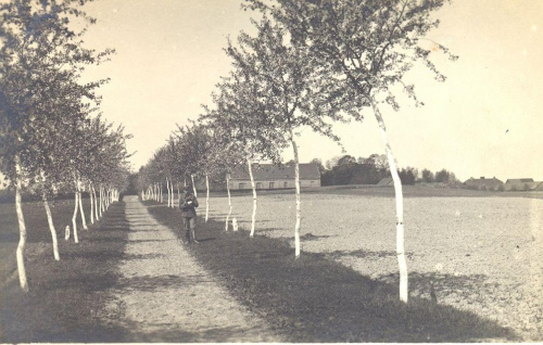 Zdjęcia udostępnione przez Leszka Wojciechowskiego syna Wiktora- nauczyciela ogrodnictwa w szkole na Brzozowej w latach 1913-1914 #Sobieszyn #Brzozowa #WiktorWojciechowski #LeszekWojciechowski