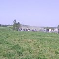 MIERZYN-MAJ2007