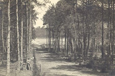 Zdjęcia udostępnione przez Leszka Wojciechowskiego syna Wiktora- nauczyciela ogrodnictwa w szkole na Brzozowej w latach 1913-1914 #Sobieszyn #Brzozowa #WiktorWojciechowski #LeszekWojciechowski