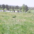 MIERZYN-MAJ2007