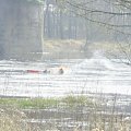 SUCHY LAS-KWIECIEŃ 2007
TOPIENIE MARZANNY