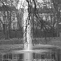 fontanna w parku szamotulskim