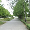 park w Lesznie