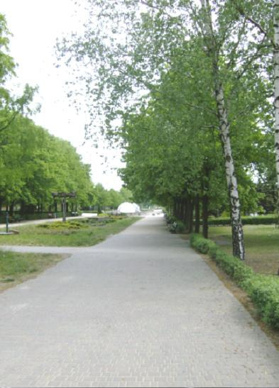 park w Lesznie