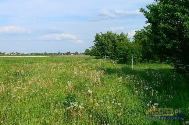 Konstantów 3