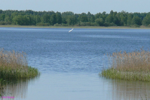 Jezioro Kocioł #JezioroKocioł #KoiołekSzlachecki #Mazury #Remes #Rower