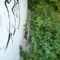 ??w