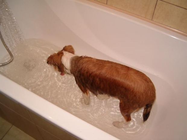W końcu kąpiel:))