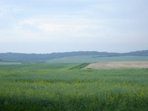 Widok na wzgórza koło Obornik Śl.