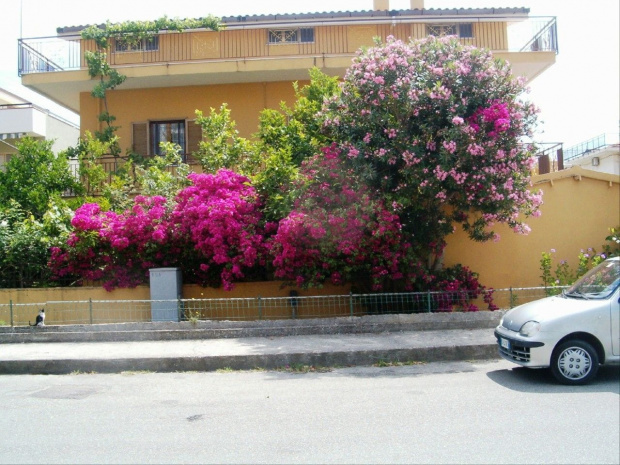 Calabria - różne