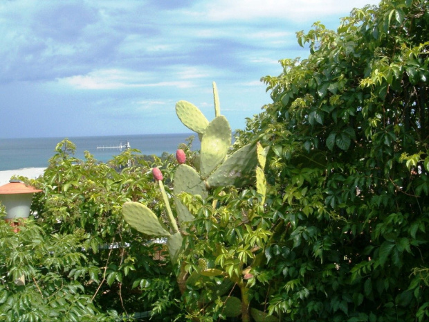 Calabria - różne