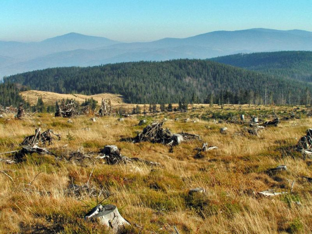 W tle - Babia Góra i Romanka