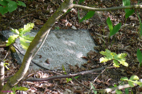 Cmentarz w Trzonkach #Trzonki #CmentarzWTrzonkach #Mazury #Remes #Rower