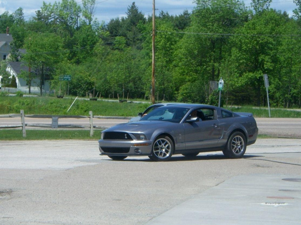 Mustang Cobra