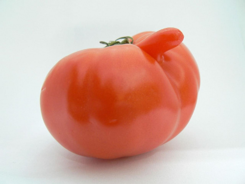 pomidore ...
