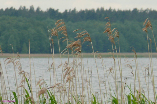 Jezioro Seksty #JezioroSeksty #Mazury #Remes #Karwik