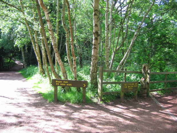 Sherwood Forest