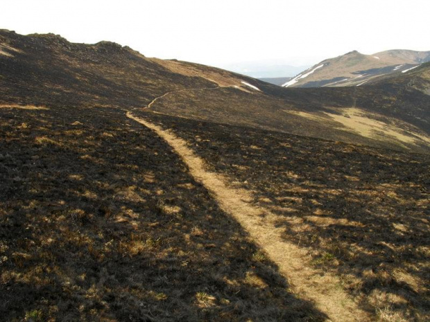 Spalona połonina #bieszczady #ukraina #góry