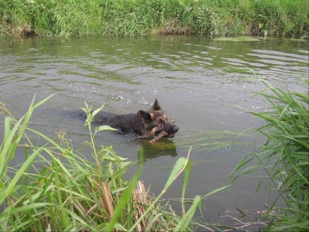 nad rzeką