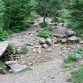 Obrazków kilka z wąwozu Homole. Mostecek nad potockiem, hej!