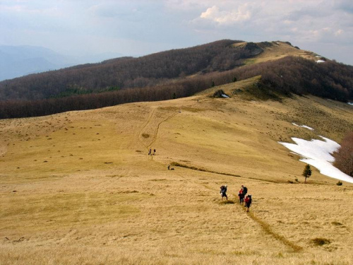 Drohobyczski Kamień #bieszczady #ukraina #góry