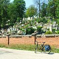 Cmentarz w Wąwolnicy #Wąwolnica #cmentarz