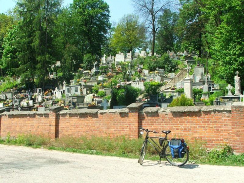 Cmentarz w Wąwolnicy #Wąwolnica #cmentarz
