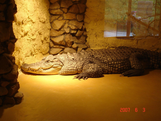 WYCIECZKA DO ZOO Z HANIĄ PRZEMKIEM SZYMKIEM I LIVIĄ